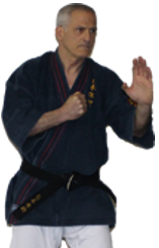 Fukushikan ryu club d'art martial toulouse, club art martial colomiers,nihon tai jitsu, tai jitsu toulouse,karate jutsu colomiers, nihon tai jitsu toulouse.